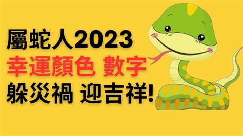 台灣新生兒名字2023 屬蛇幸運顏色